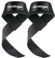 Rental store for STRAP 20  LIFTING STRAP in Ypsilanti MI