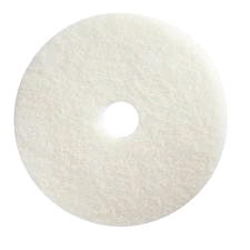Rental store for PAD 20  WHITE in Ypsilanti MI